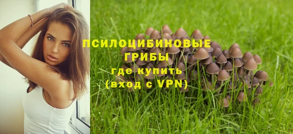 ALPHA-PVP Баксан