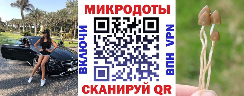 цена Никольск OMG tor Галлюциногенные грибы ЛСД